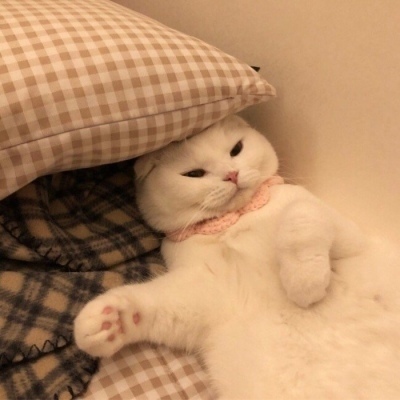 涉贪腐被带走、败光20亿