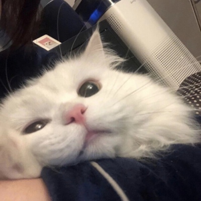 讨好大佬，陪睡上位，遭央视“开除”